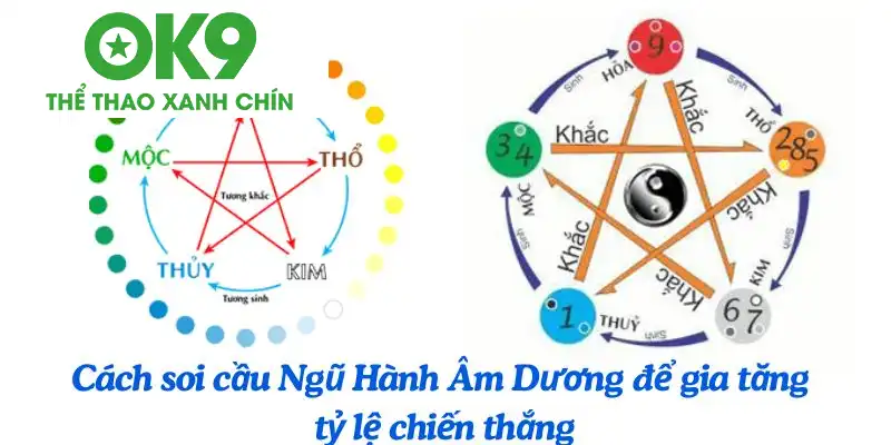 Cách soi cầu Ngũ Hành Âm Dương để gia tăng tỷ lệ chiến thắng Cách soi cầu Ngũ Hành Âm Dương để gia tăng tỷ lệ chiến thắng
